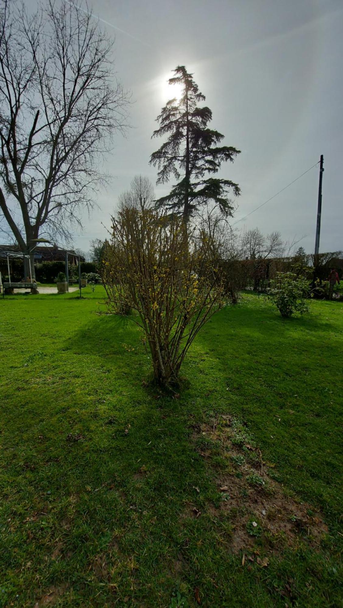 Villa Maella Saint-Michel-Tuboeuf Exterior photo